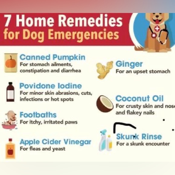 $1 DOG PIN/BROOCH. ENAMEL/METAL. NEW. $1 WITH ANY $10 ORDER OR MORE - Picture 12 of 16